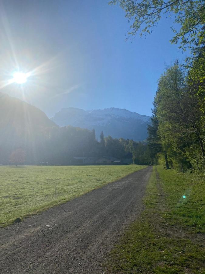Appartement Rez-De-Chaussee, Cosy T3 4 A 6 Pers Avec Piscines Interieure & Exterieure A Samoens En Haute-Savoie Ngoại thất bức ảnh